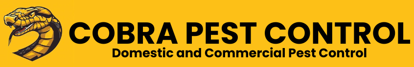 Portlaoise Pest Control - Pest Control Services